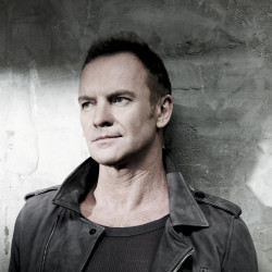 Sting - Blood Red Roses